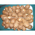 China New Crop Fresh Taro Gemüse mit bester Qualität